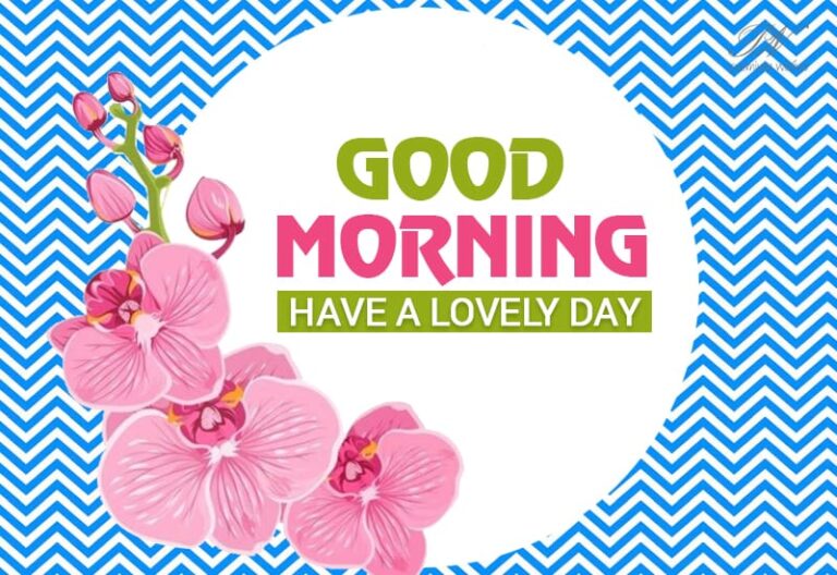 Good Morning Buddy – Have a lovely day