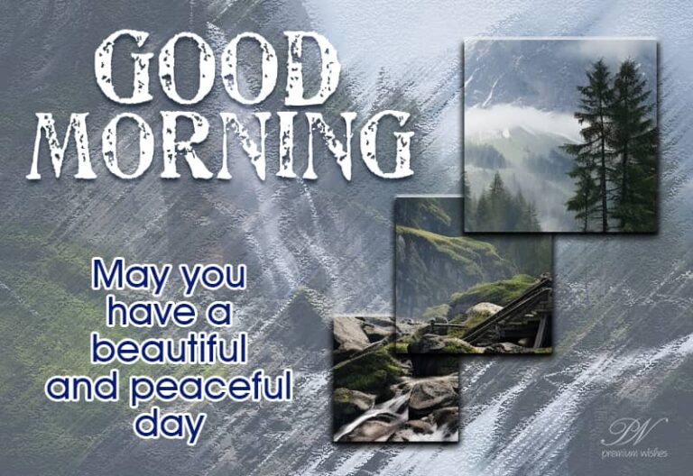 Good Morning May you have a beautiful and peaceful day