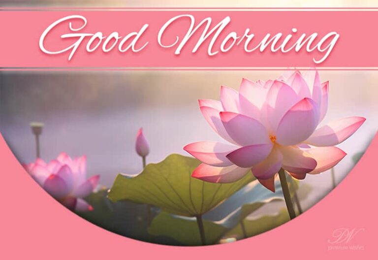 Cheers to a beautiful new day – have a great one – Good Morning