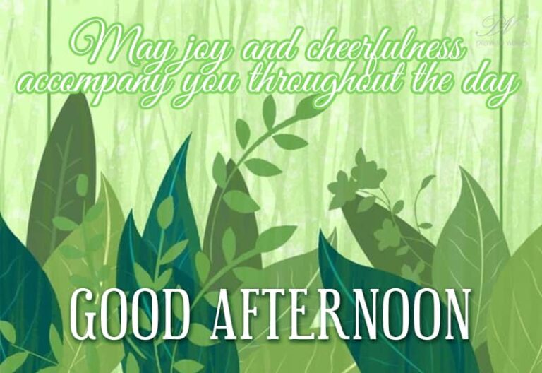 Good Afternoon Wishes