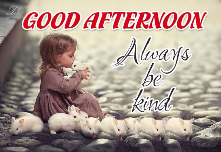 Good Afternoon Wishes