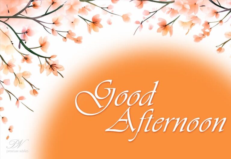Good Afternoon Wishes