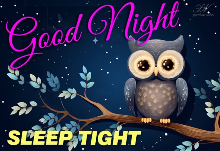 Good Night Wishes