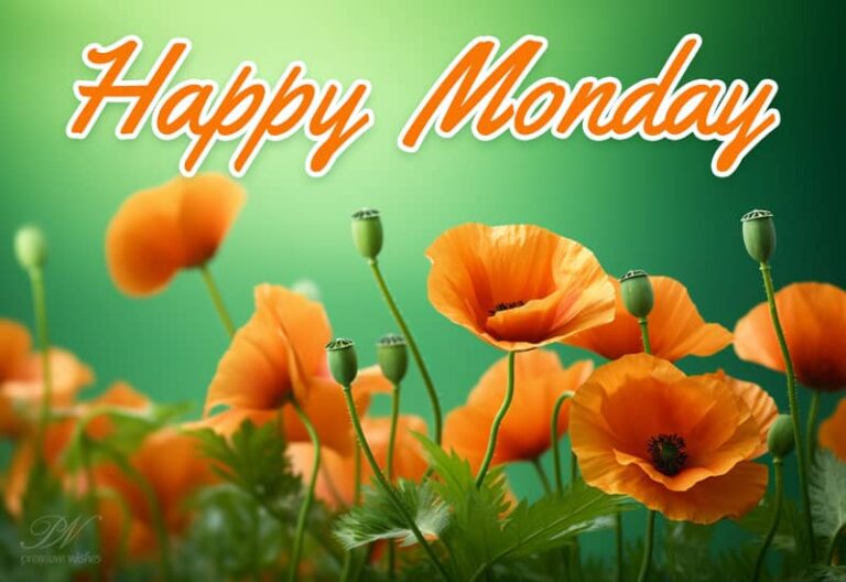 Happy Monday – Enjoy the beautiful morning