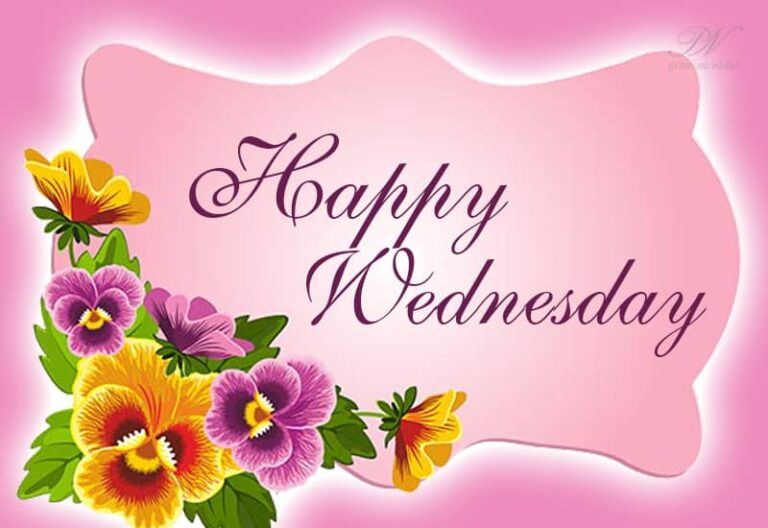 Happy Wednesday – Good morning enjoy the flowers