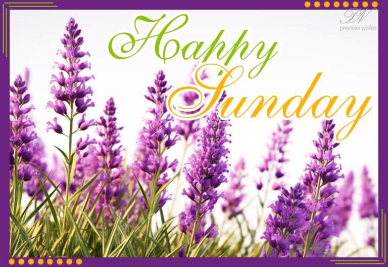 Happy Sunday! Sending you greetings of Sunday with love and blessings.