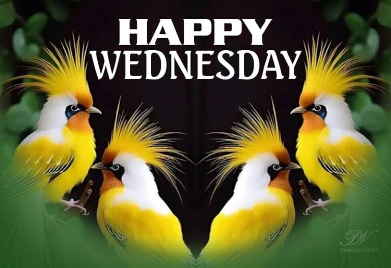 Happy Wednesday – Enjoy your life among friends