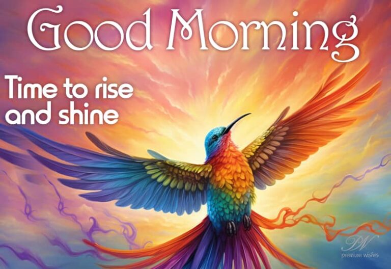 Good Morning Friends – Time to rise and shine -fly high