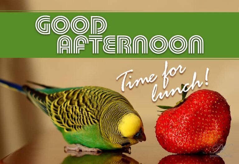 Good Afternoon Friends – Time for lunch – Go Treat Yourself