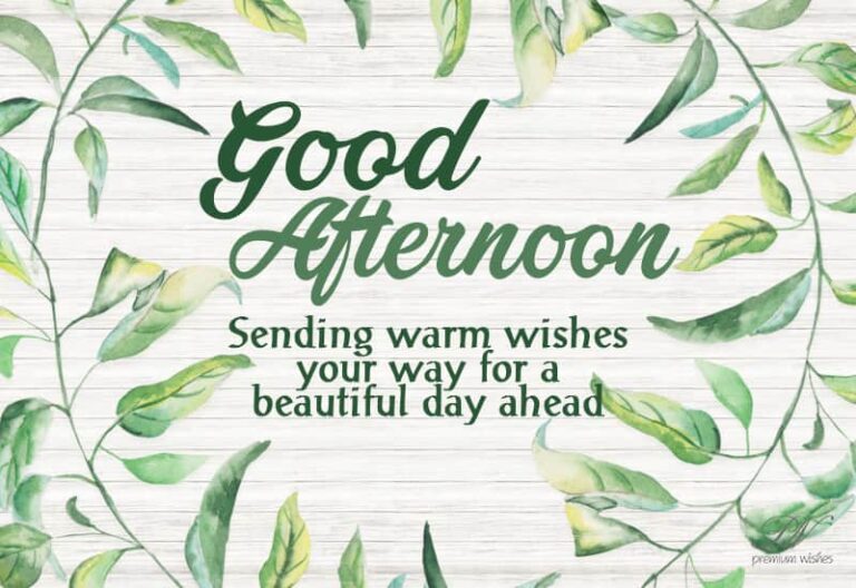 Good Afternoon Wishes