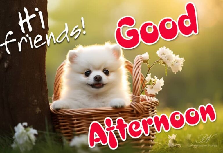 Good Afternoon Wishes