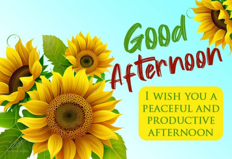 Good Afternoon Wishes