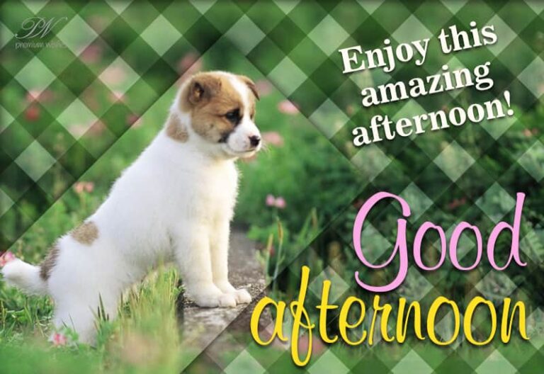 Good Afternoon Wishes