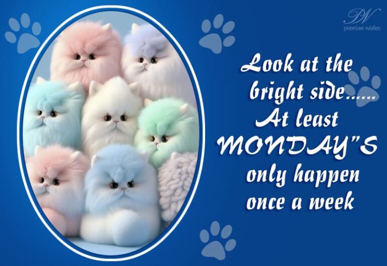 Look at the bright side – At least Monday’s only happen once a week