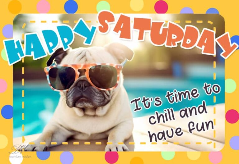 Happy Saturday – It is time to chill and have fun