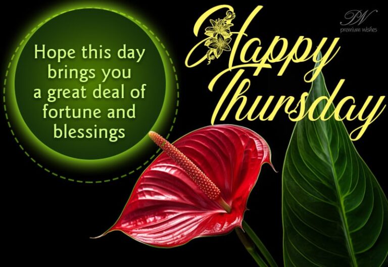 Happy Thursday – Hope this day brings you a great deal of furniture and blessings