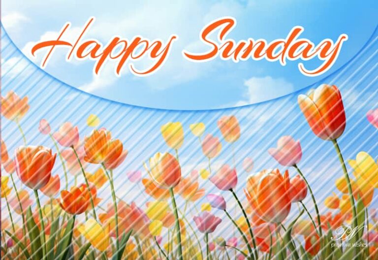 Sunday Funday – Enjoy the day among friends