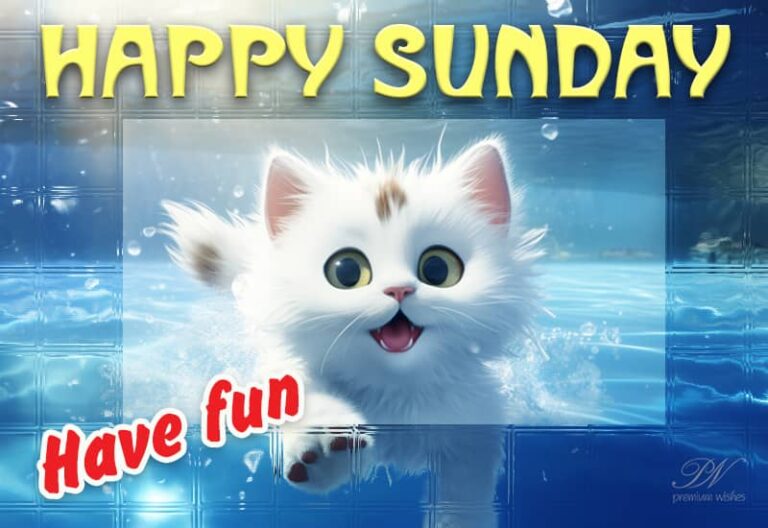 Happy Sunday – Have Fun Friends