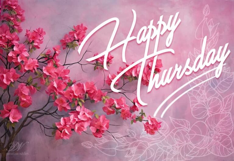 Happy Thursday – May you have a wonderful day filled with love, patience, and positivity.
