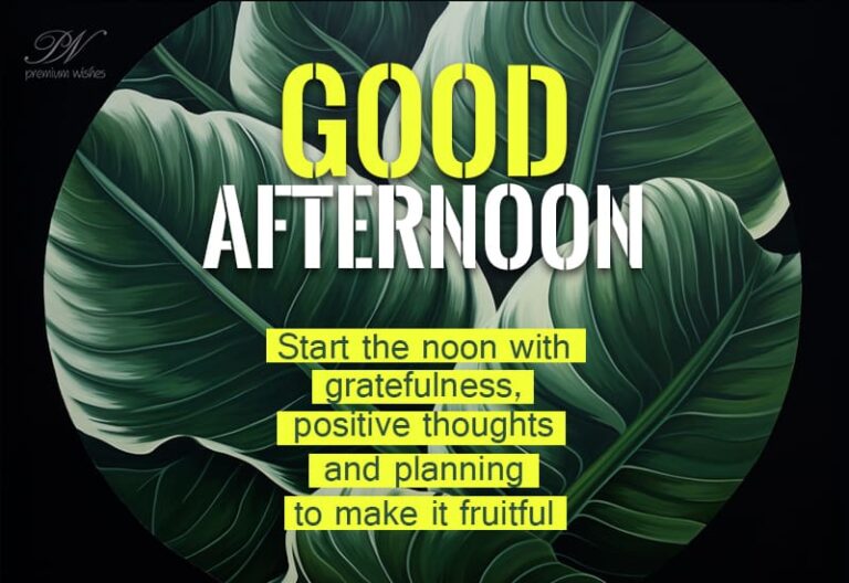 Good Afternoon Wishes