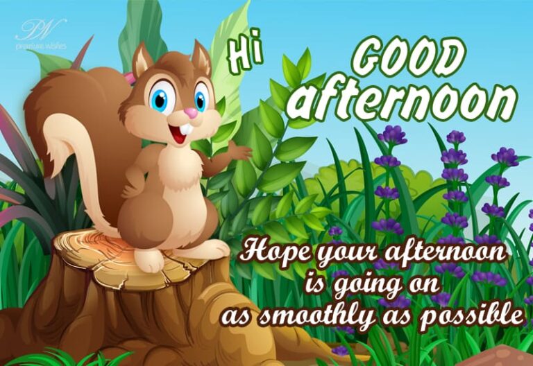Good Afternoon Wishes