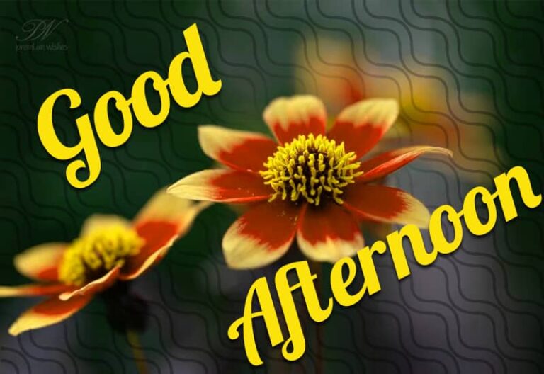 Good Afternoon Wishes
