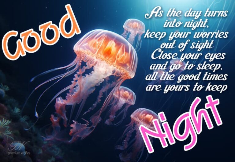 Good Night Wishes