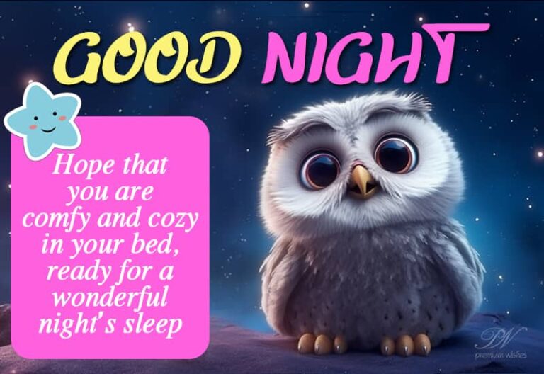 Good Night Wishes