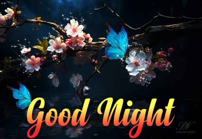 Good Night Wishes