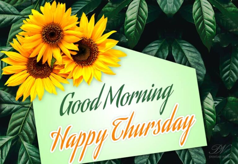 Good Morning – Happy Thursday – Remain Bright As The Sunflowers Good Morning – Happy Thursday – Remain Bright As The Sunflowers