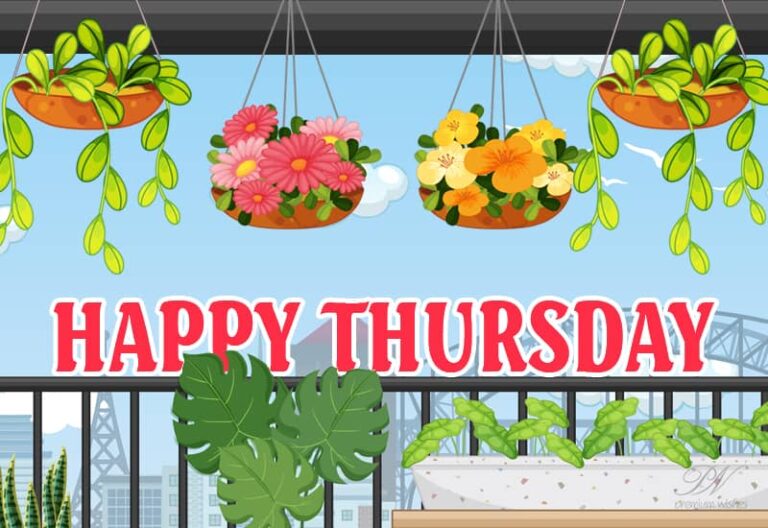 Happy Thursday – Good Morning Dear Friends