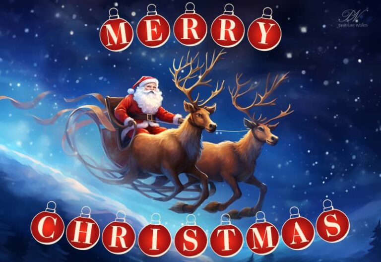 Merry Christmas 2023