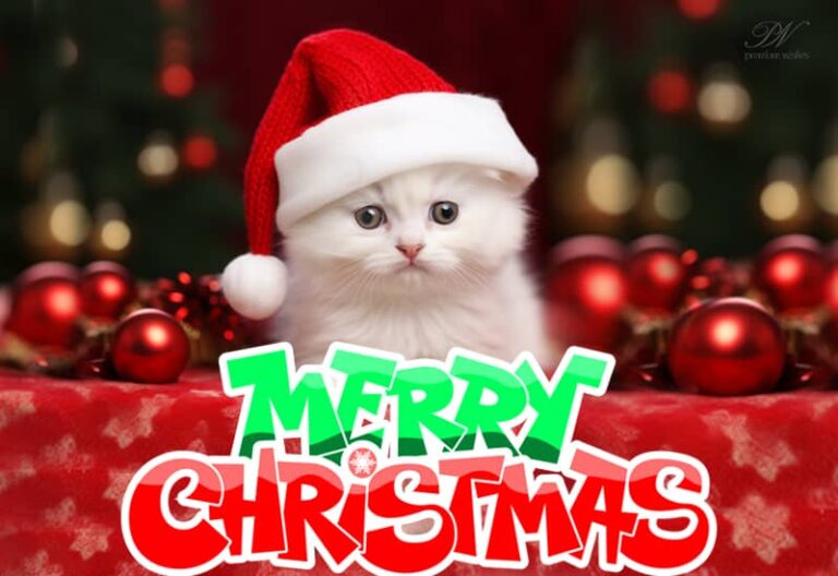 Merry Christmas Friends – Be blessed and smile