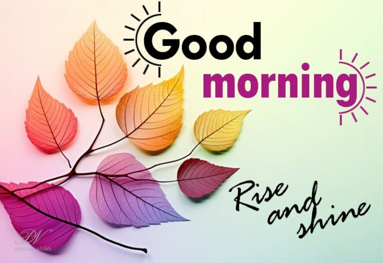 Good Morning – Rise and Shine Today – Fly High