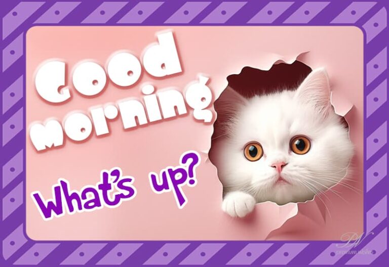 Good Morning – What’s Up Friends – Wake up with determination