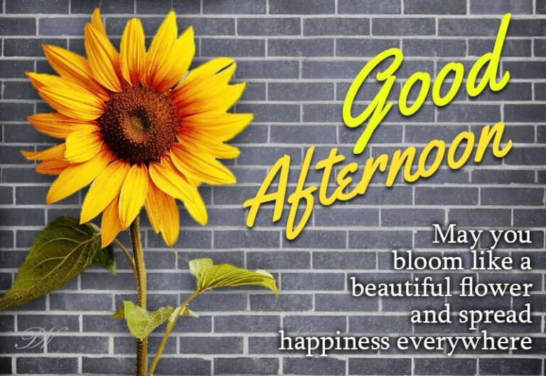 Good Afternoon Wishes