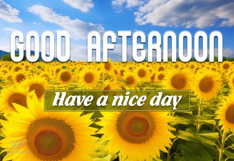 Good Afternoon Wishes