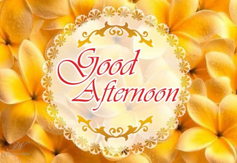 Good Afternoon Wishes