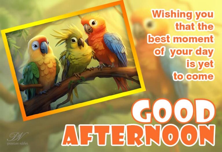 Good Afternoon Wishes