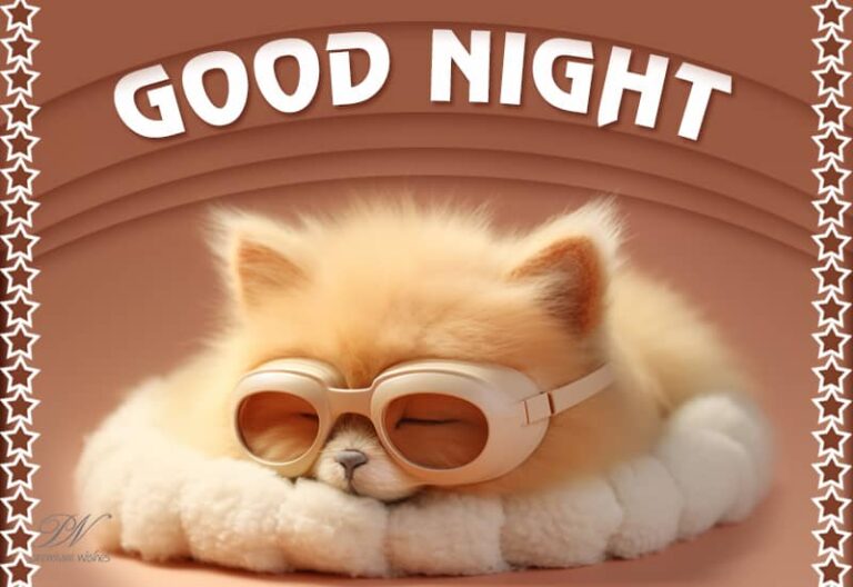 Good Night – Friends Sleep Well Like Me