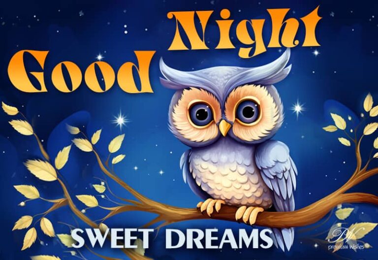Good Night Wishes