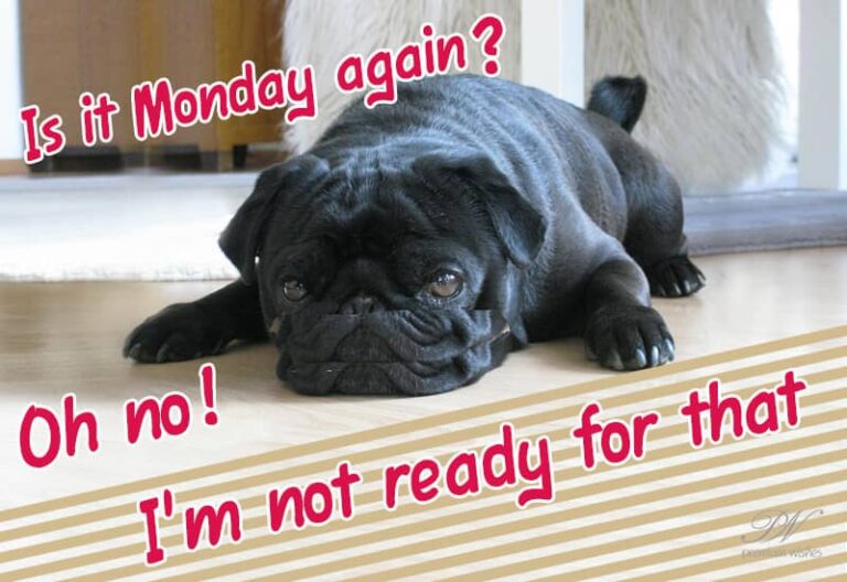 Happy Monday – Oh no! I’m not ready for that