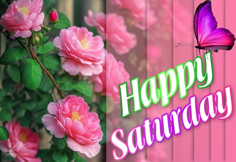 God has given us another day to spend that is filled with more blessings than we can count. Happy Saturday