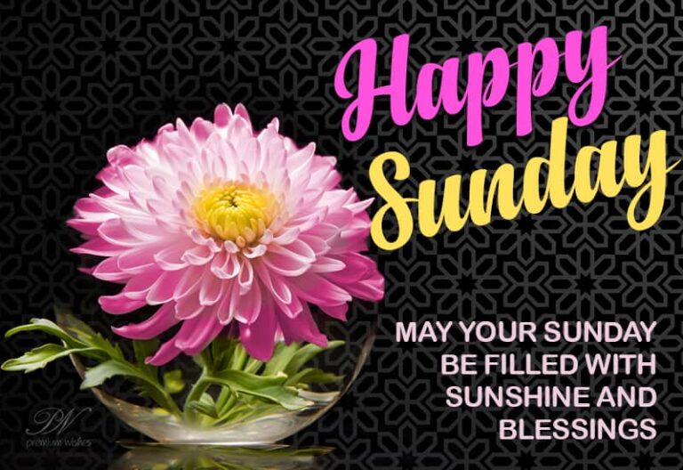 Happy Sunday! May your Sunday be filled with sunshine and blessings!