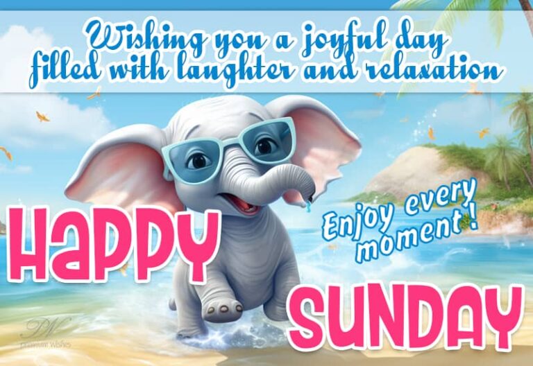 Happy Sunday – Wishing you a joyful day filled with laughter and relaxation