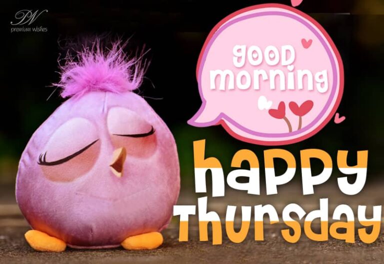 Good Morning – Happy Thursday Cutie