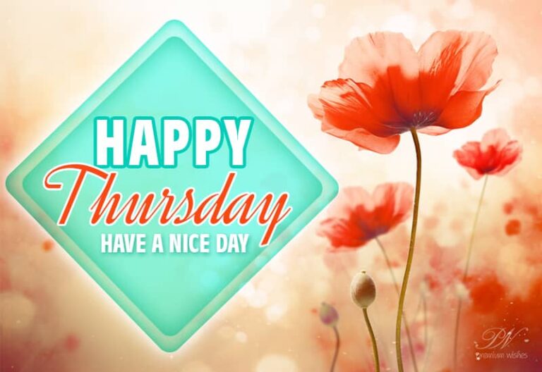 Happy Thursday – Have a nice day friends – Enjoy the day