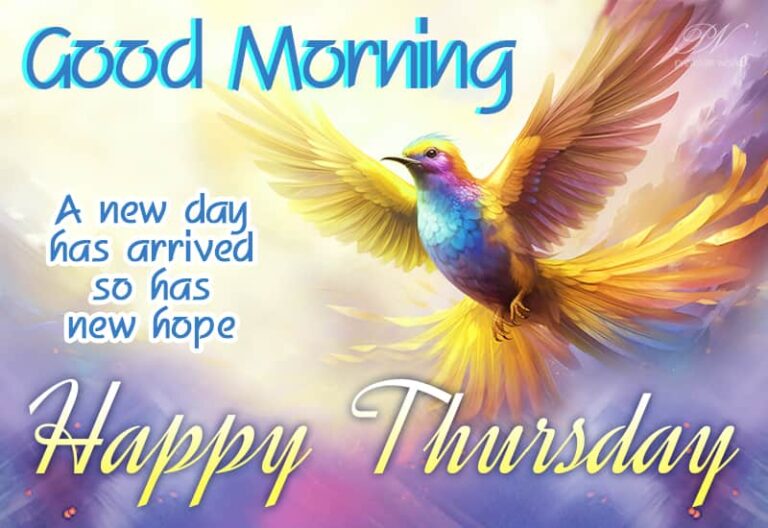 Good Morning – Happy Thursday – A new day has arrived so has new hope