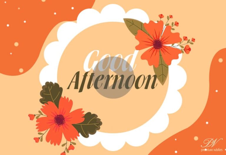 Good Afternoon Whatsapp Video – Good Afternoon Greetings