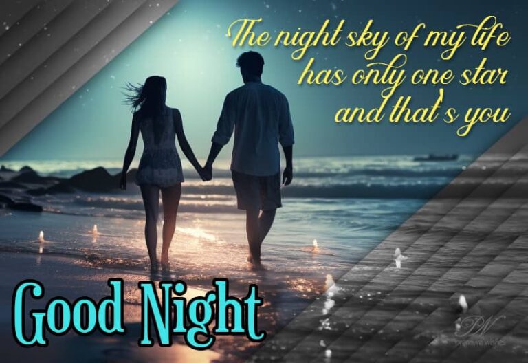 Good Night – The night sky of my life has only one star and that’s you